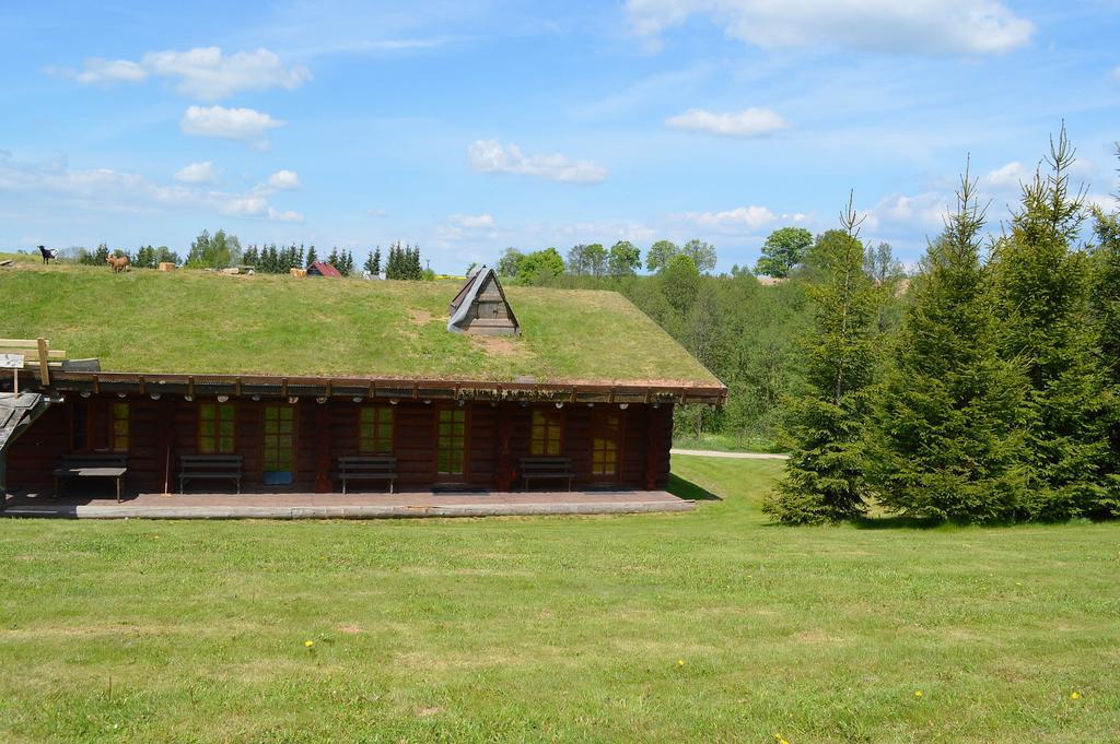 Hotel Sruby Haida Ceske Petrovice Exterior foto